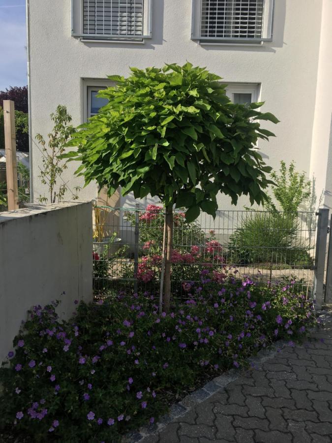 Ferienwohnung Im Herzen Von Kelheim Buitenkant foto